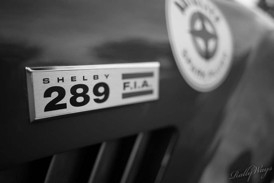 Shelby 289 Badge on a Cobra