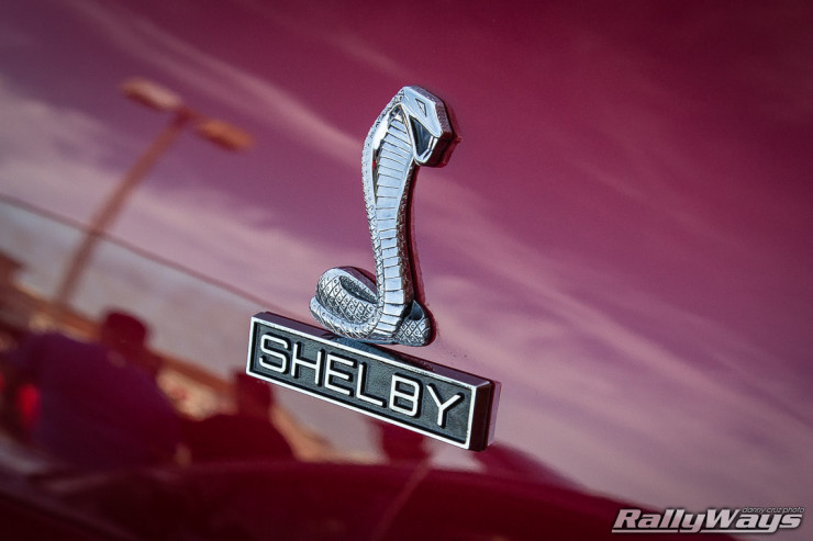 Shelby Snake Badge