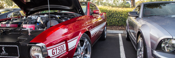 Sharing a Spot with a Mustang