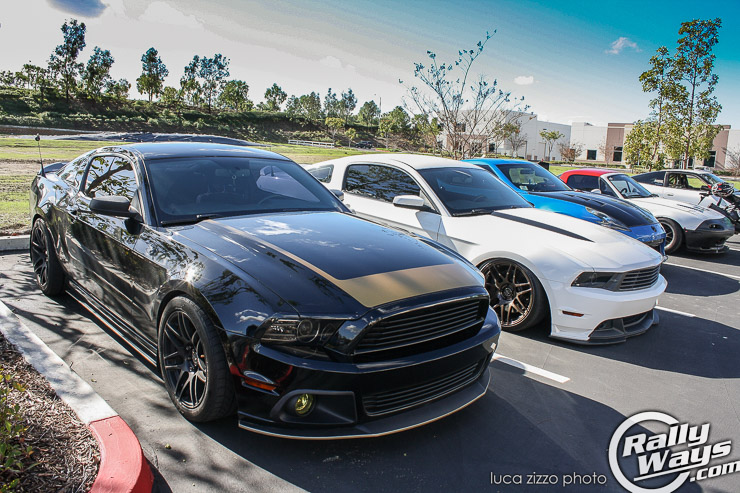 A Pair of Mustangs